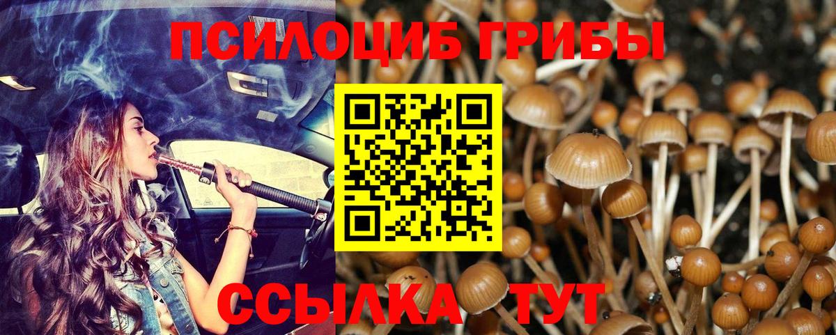 Галлюциногенные грибы мицелий  Вход с VPN  Псилоцибиновые грибы Cubensis  Алатырь 